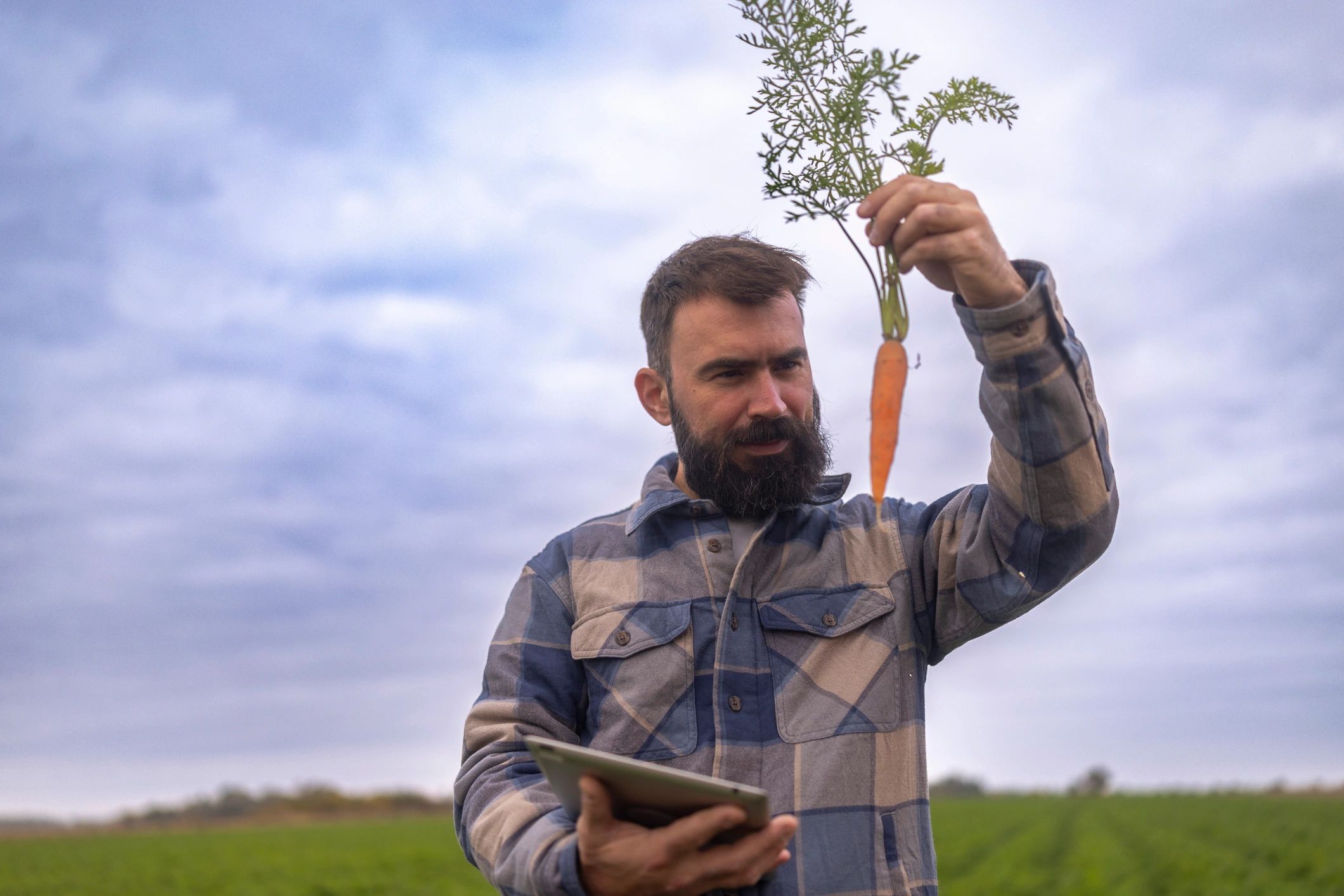 Agricultural production base supporting traceable export supply
